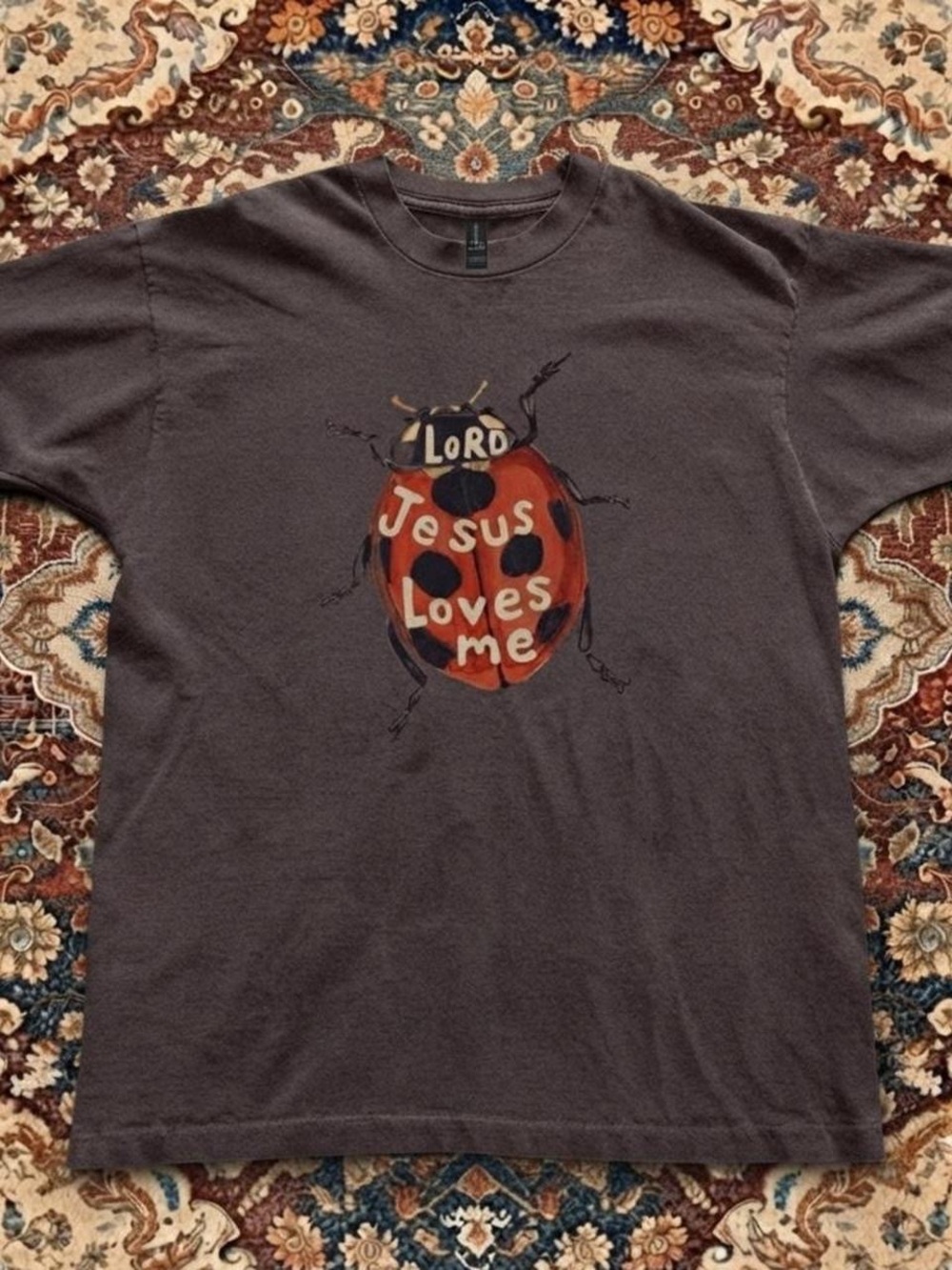 Gildan Brown Short-Sleeve Tee with Ladybug 'Lord Jesus Loves Me' Graphic